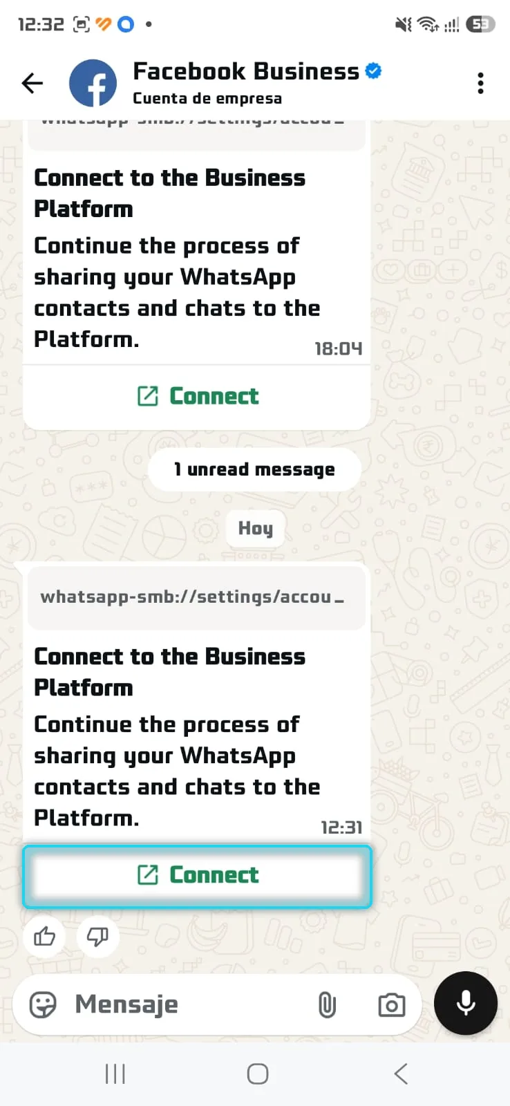 Chat de Facebook Business con el botón Connect señalado