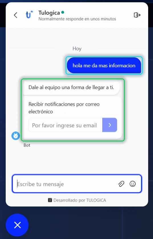 Conversación en el chat web: el mensaje de prueba y la petición de correo electrónico
