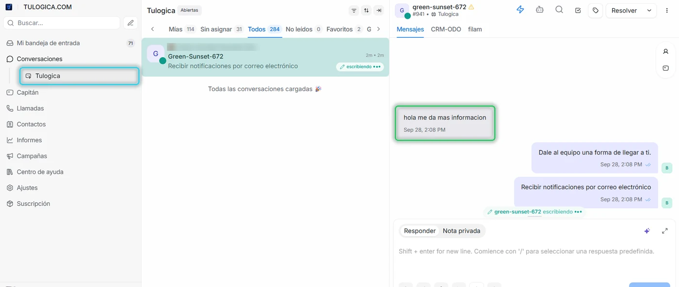 Bandeja de Tulogica con la bandeja del sitio web señalada y el mensaje de prueba en verde