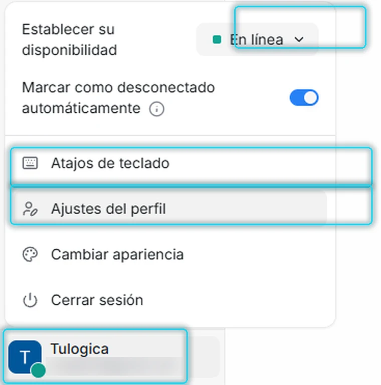 Menú del avatar con la disponibilidad, Ajustes del perfil y Cambiar apariencia señalados